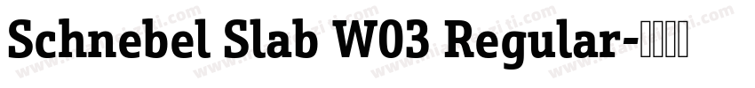 Schnebel Slab W03 Regular字体转换
